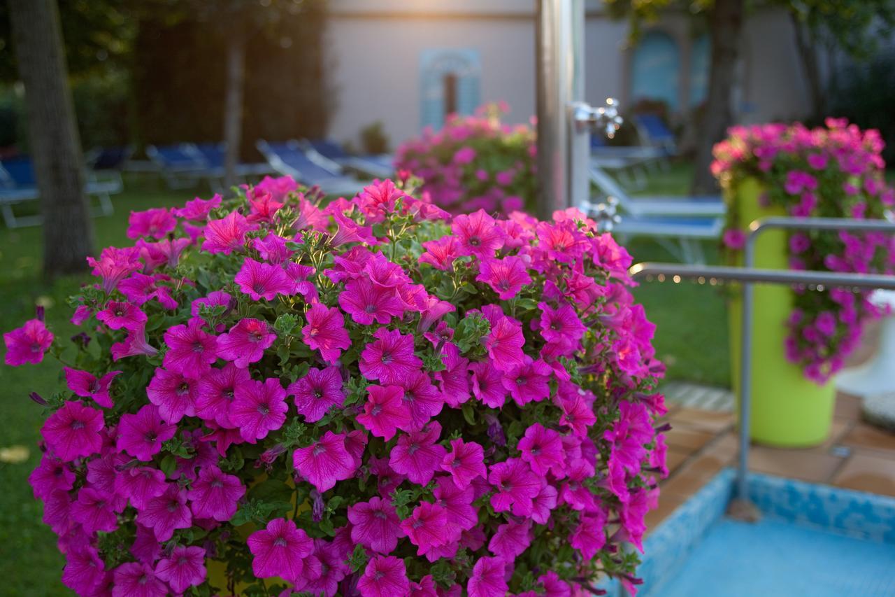 Hotel Terme Cristoforo Abano Terme Dış mekan fotoğraf